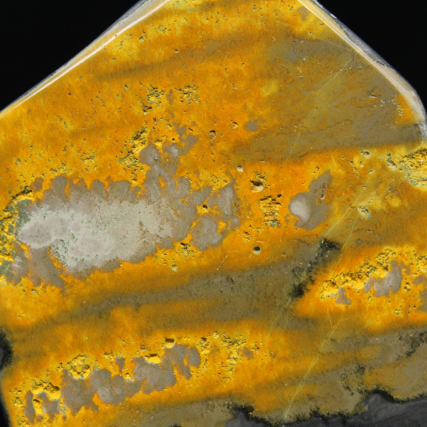 Colección Bumblebee Polished Indonesia