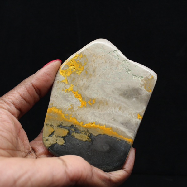 Decoración de autenticidad de espécimen de abejorro de jaspe