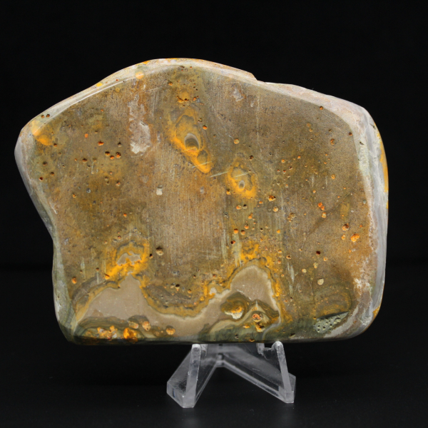 Decoración de autenticidad de espécimen de abejorro de jaspe