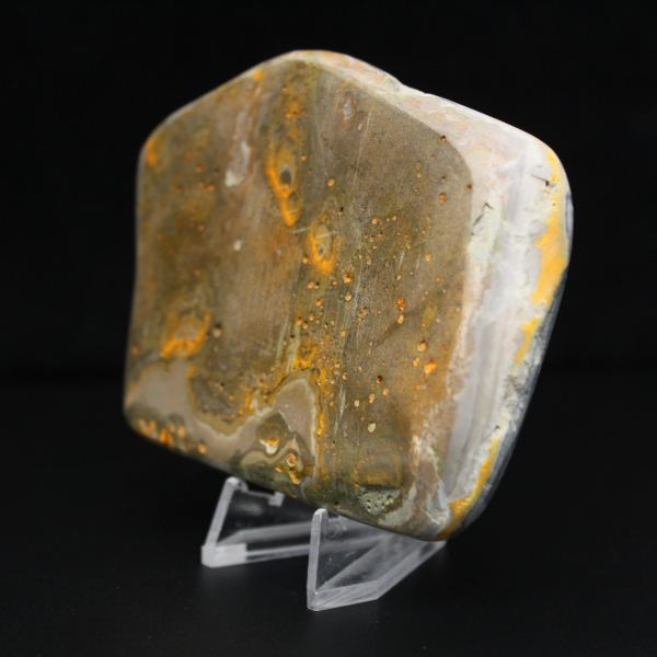 Decoración de autenticidad de espécimen de abejorro de jaspe