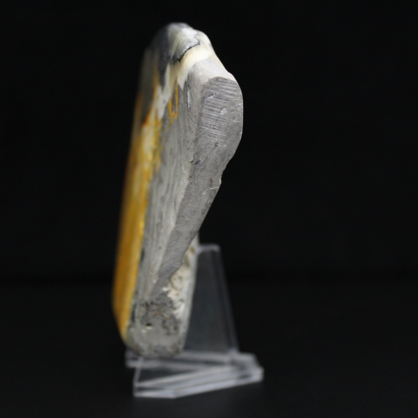 Auténtico adorno decorativo de abejorro de jaspe