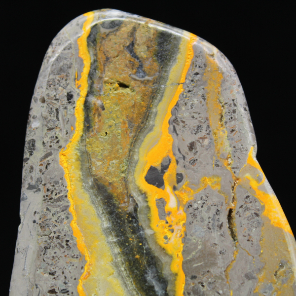 Colección científica pulida de espécimen de jaspe abejorro