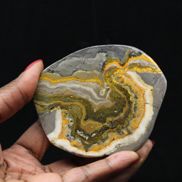 Adorno de abejorro de jaspe pulido, Indonesia, raro