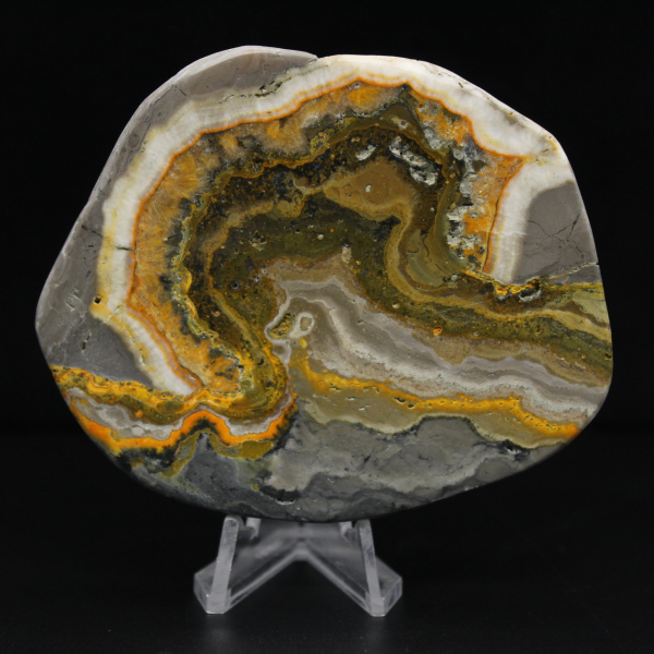 Adorno de abejorro de jaspe pulido, Indonesia, raro