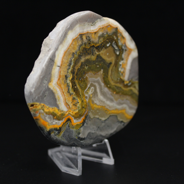 Adorno de abejorro de jaspe pulido, Indonesia, raro