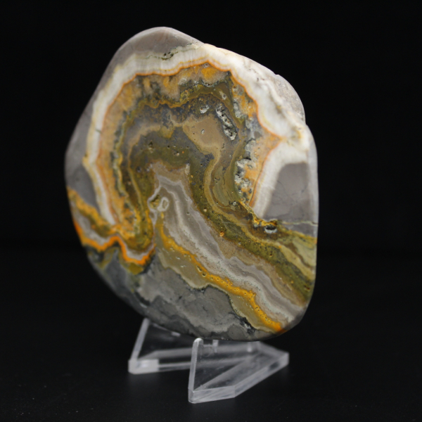 Adorno de abejorro de jaspe pulido, Indonesia, raro