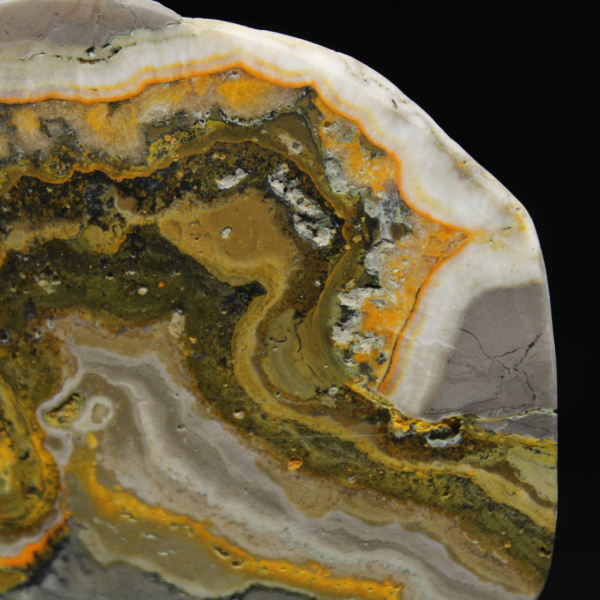 Adorno de abejorro de jaspe pulido, Indonesia, raro