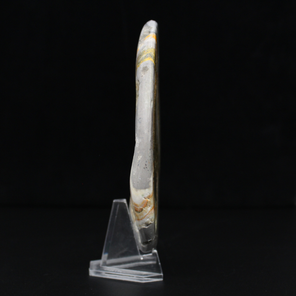 Ciencia mineral de roca de jaspe abejorro pulido