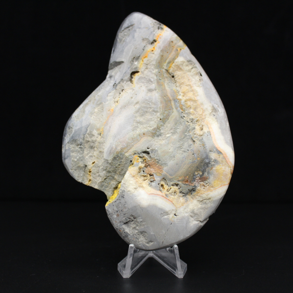 Ciencia mineral de roca de jaspe abejorro pulido