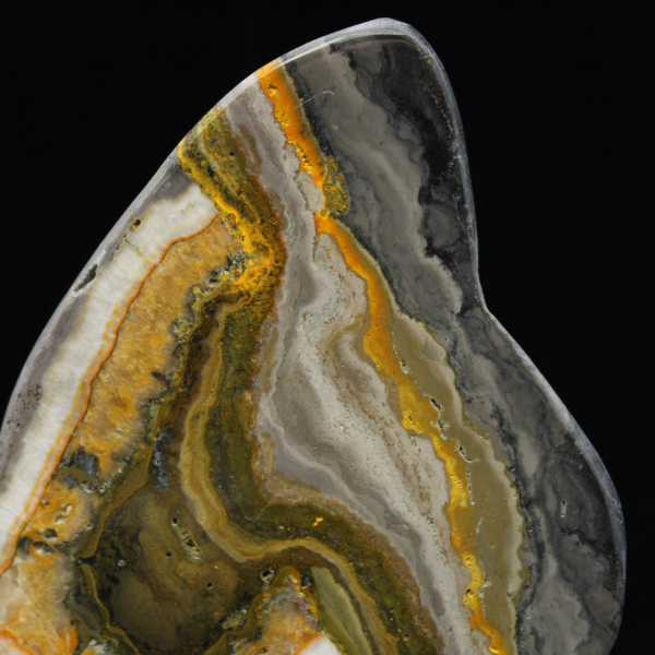 Ciencia mineral de roca de jaspe abejorro pulido