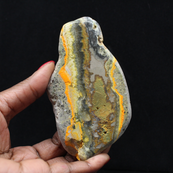 Colección de decoración de abejorro de jaspe de piedra lisa