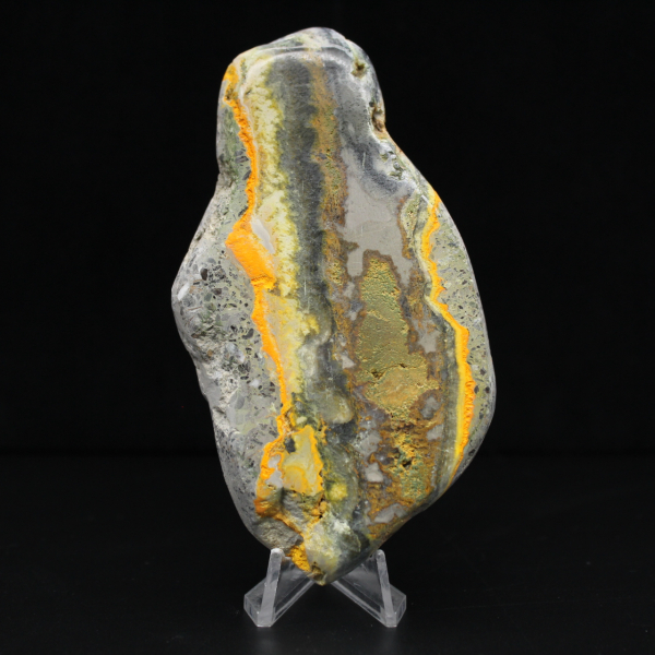 Colección de decoración de abejorro de jaspe de piedra lisa