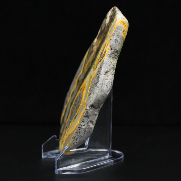 Colección de decoración de abejorro de jaspe de piedra lisa