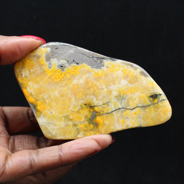 Ejemplar de la colección de abejorro de jaspe liso