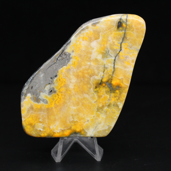 Ejemplar de la colección de abejorro de jaspe liso