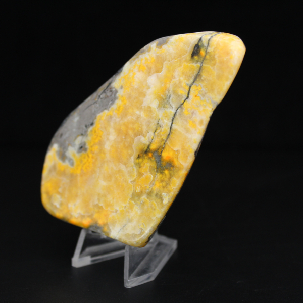 Ejemplar de la colección de abejorro de jaspe liso