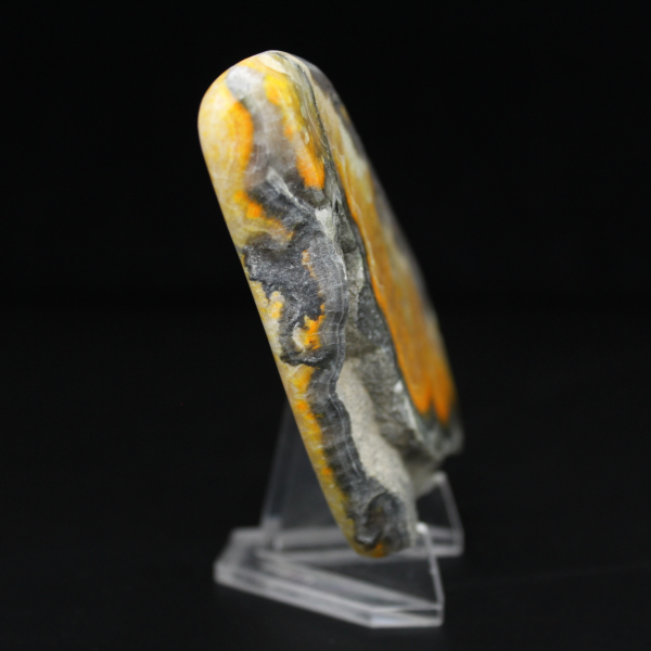 Ejemplar de la colección de abejorro de jaspe liso