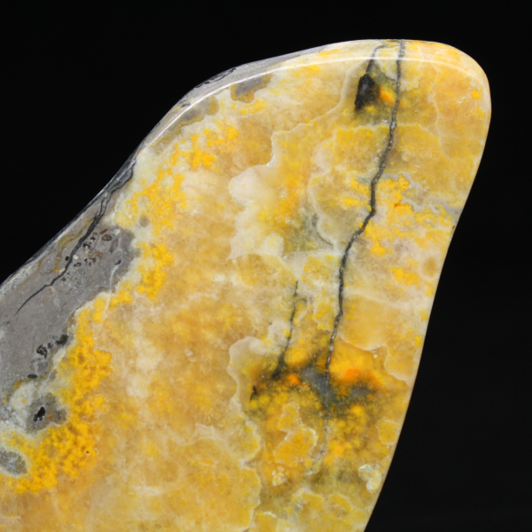 Ejemplar de la colección de abejorro de jaspe liso