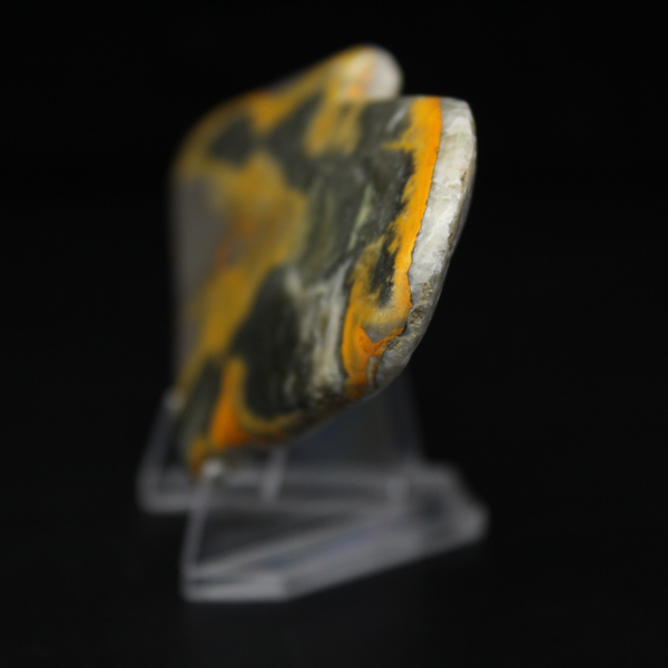 Micromoneda de abejorro de jaspe pulido