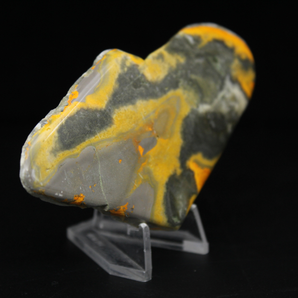 Micromoneda de abejorro de jaspe pulido