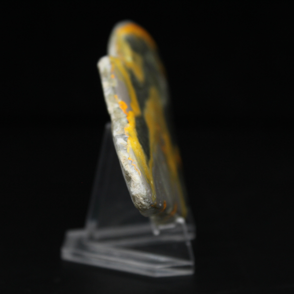 Micromoneda de abejorro de jaspe pulido