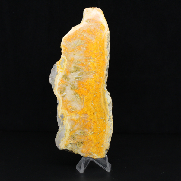 Rebanada pulida de jaspe abejorro de Indonesia