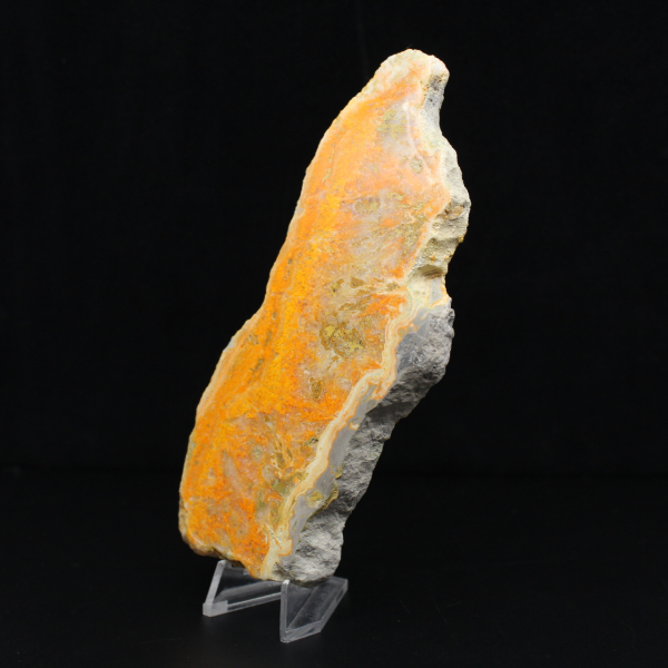 Rebanada pulida de jaspe abejorro de Indonesia