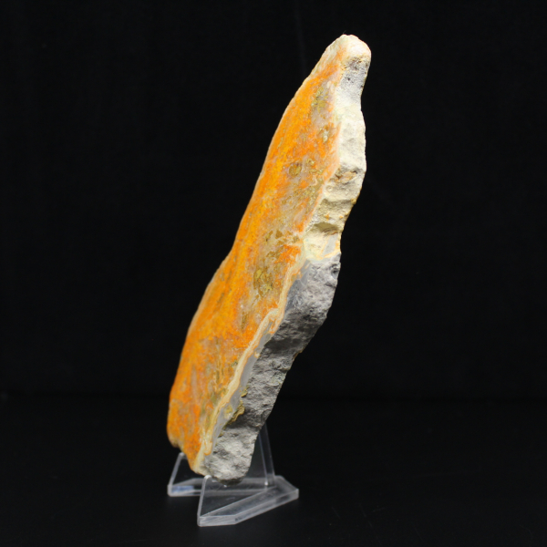 Rebanada pulida de jaspe abejorro de Indonesia