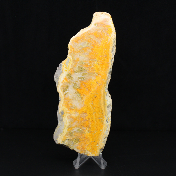 Rebanada pulida de jaspe abejorro de Indonesia