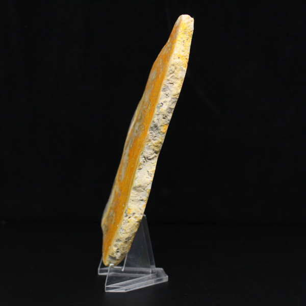 Rebanada pulida de jaspe abejorro de Indonesia