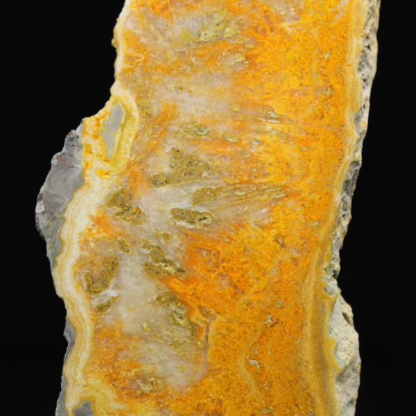 Rebanada pulida de jaspe abejorro de Indonesia