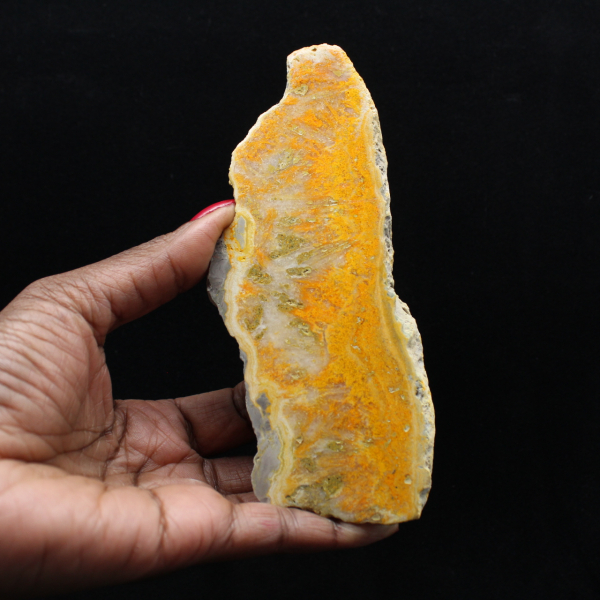 Rebanada pulida de jaspe abejorro de Indonesia