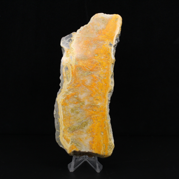 Rebanada gruesa de jaspe abejorro de Indonesia