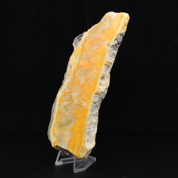 Rebanada gruesa de jaspe abejorro de Indonesia