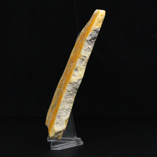 Rebanada gruesa de jaspe abejorro de Indonesia