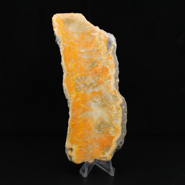 Rebanada gruesa de jaspe abejorro de Indonesia