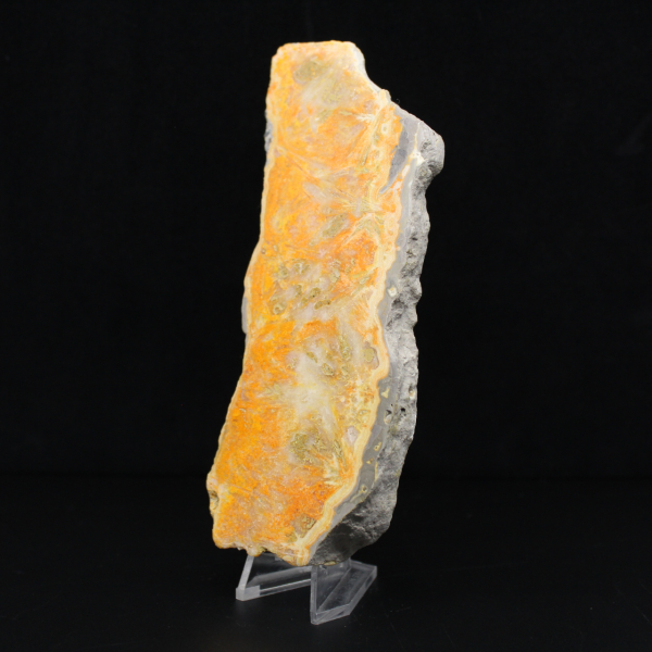 Rebanada gruesa de jaspe abejorro de Indonesia