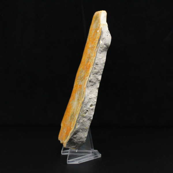 Rebanada gruesa de jaspe abejorro de Indonesia