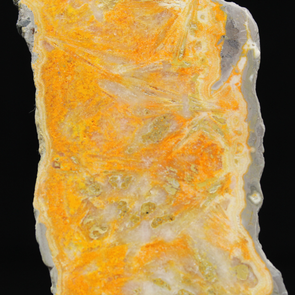 Rebanada gruesa de jaspe abejorro de Indonesia