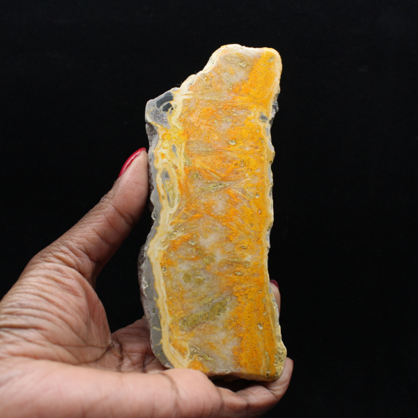 Rebanada gruesa de jaspe abejorro de Indonesia