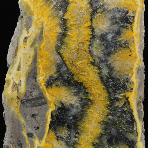 Jaspe abejorro: una porción mineralógica de Java