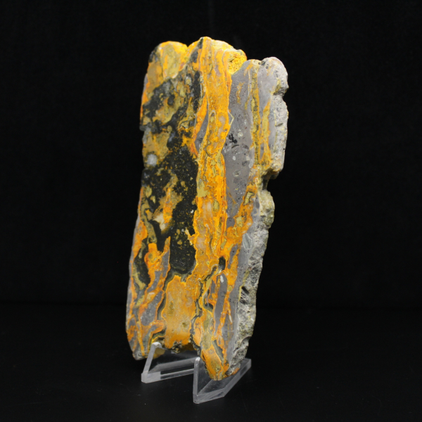 Rebanada alargada de jaspe abejorro pulido