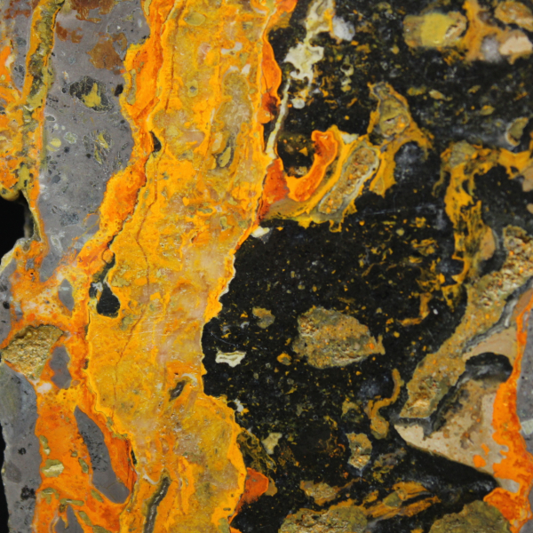 Rebanada alargada de jaspe abejorro pulido