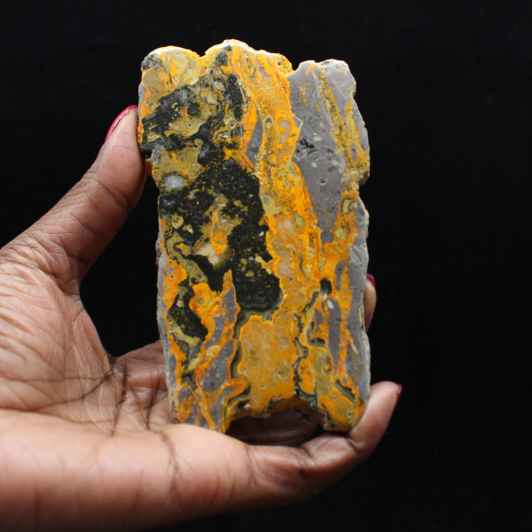 Rebanada alargada de jaspe abejorro pulido