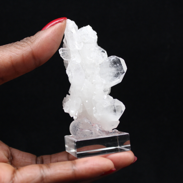 Faden de cristal del Himalaya