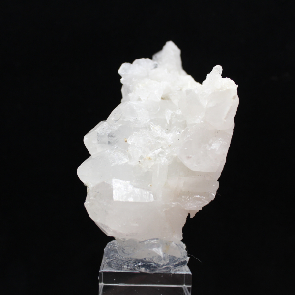 Faden de cristal del Himalaya