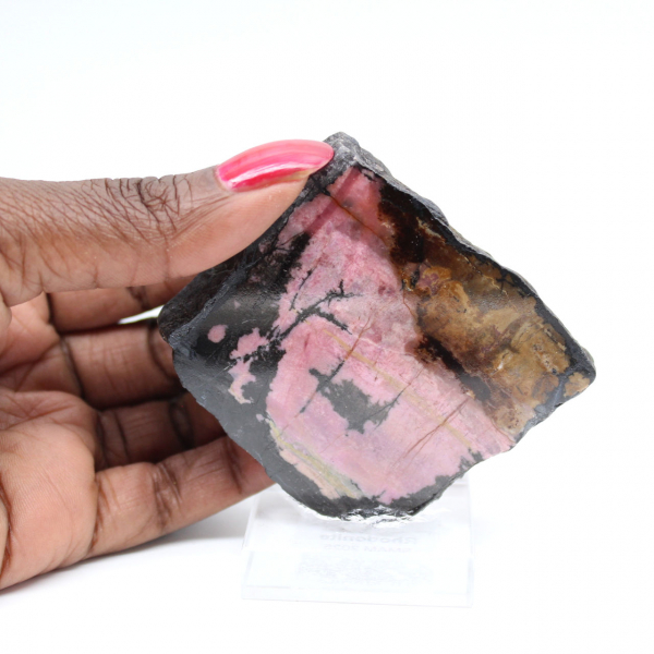 Rebanada de rodonita natural para colección de minerales