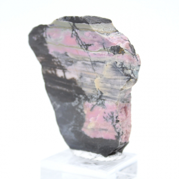 Rebanada auténtica de piedra de rodonita