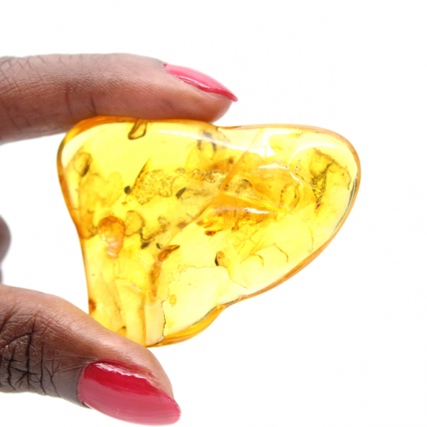 Gran piedra de ámbar amarillo de Lituania: fósil para coleccionar