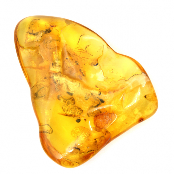 Gran piedra de ámbar amarillo de Lituania: fósil para coleccionar